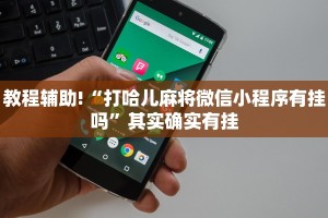 教程辅助!“打哈儿麻将微信小程序有挂吗”其实确实有挂