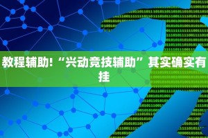 教程辅助!“兴动竞技辅助”其实确实有挂