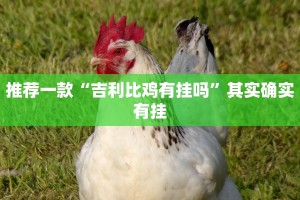 推荐一款“吉利比鸡有挂吗”其实确实有挂