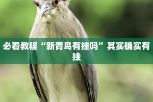 推荐一款“蛮王大厅可以开挂吗”其实确实有挂