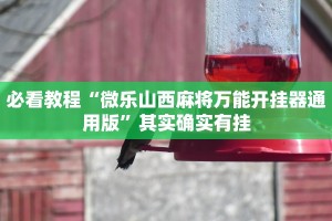 必看教程“小南娱乐有挂吗”其实确实有挂