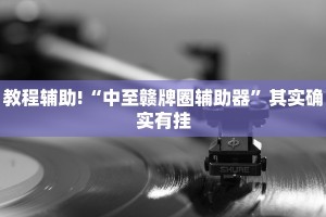 教程辅助!“中至赣牌圈辅助器”其实确实有挂