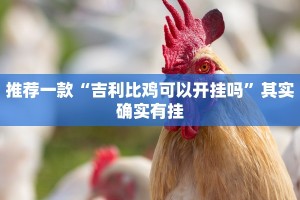 推荐一款“吉利比鸡可以开挂吗”其实确实有挂