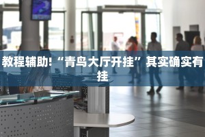 教程辅助!“非凡贪玩是不是有挂”其实确实有挂
