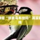 教程辅助!“乐乐四川麻将外卦神器下载安装”其实确实有挂