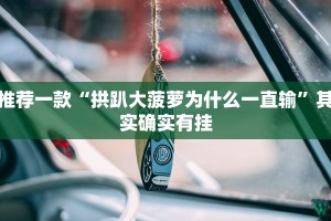 推荐一款“拱趴大菠萝为什么一直输”其实确实有挂