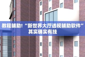 教程辅助!“新世界大厅透视辅助软件”其实确实有挂
