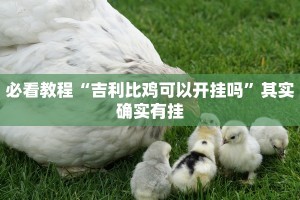 必看教程“吉利比鸡可以开挂吗”其实确实有挂