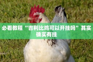 教程辅助!“决战血流麻将万能开挂器通用版”其实确实有挂