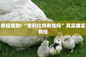 教程辅助!“吉利比鸡有挂吗”其实确实有挂